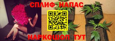 каннабис Тула