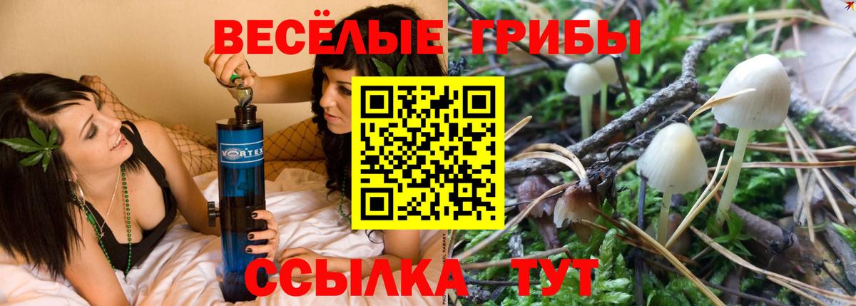 Галлюциногенные грибы мицелий Можга